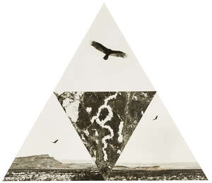 
	
		Chris Drury, 
		British b. 1948- 
		 
		Eagle, 1982; 
		 
		photo collage, triangle 90.5...