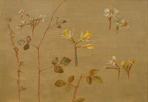 
	
		Carolyn Sergeant, 
		British 1937-2018- 
		 
		Narcissus, Daffodil, Brambles and...