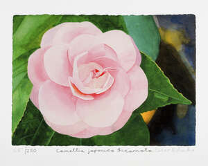 
	
		Sir Peter Blake CBE RDI RA, British b.1932-Camellia Japonica Incarnata, 2013; giclee in...