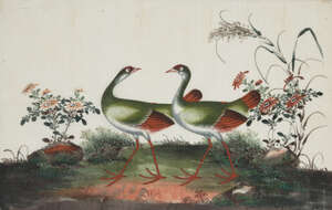 
	
		A Chinese gouache painting on rice paper, 19th century, depicting two exotic birds, 21cm...