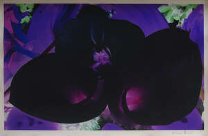 
	
		Marc Quinn, 
		British b.1964- 
		 
		At the Far Edge of the Universe No. 6, 2010;...