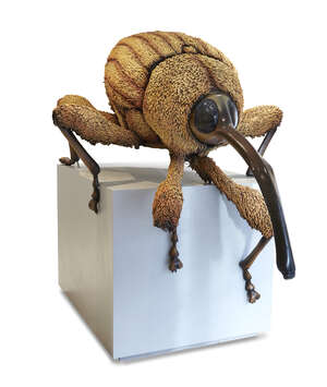 
	
		The Big Bug Tour, 
		 
		Nut Weevil, 2018-2019; 
		 
		resin sculpture mounted to plinth,...