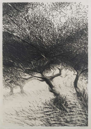 
	
		David Leverett, 
		British 1938-2020 - 
		 
		Forest, 1989; 
		 
		graphite on paper,...