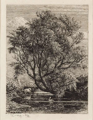 
	
		Samuel Palmer, 
		British 1805-1881- 
		 
		The Willow, 1850; 
		 
		etching, from the...