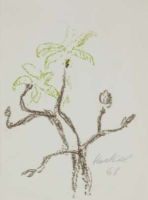 
	
		Erich Heckel, 
		German, 1883-1970- 
		Flowering branch, 1968; 
		lithograph in colours,...