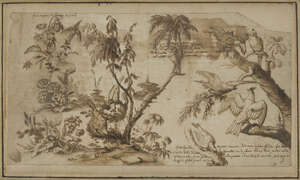 
	
		French School, 
		18th century- 
		Various studies of plants and birds; 
		pen and...