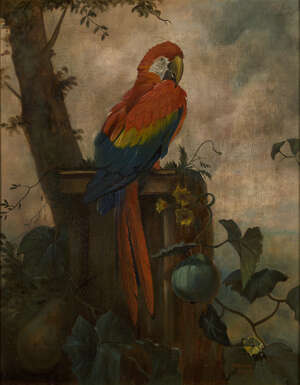 
	
		F W Baldry, 
		British, early-mid 20th century- 
		 
		Study of a Macaw; 
		 
		oil...