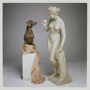 
	
		William Wegman and Elliott Landy, American b.1943 and  b.1942- 
		On base, 2007 and Bob...