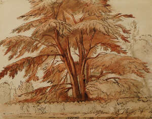 
	
		Attributed to Trevor S Goold, 
		British exh. 1922-1930- 
		 
		Tree in a wooded...