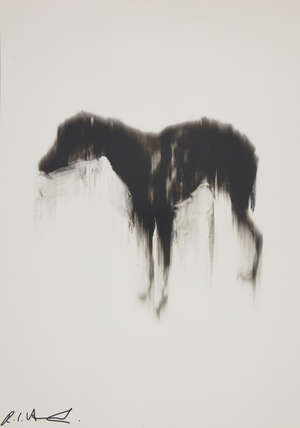 
	
		Rachel Howard,
		British b.1969-
		 
		Dog, 2019;
		 
		 
		offset lithographic poster...