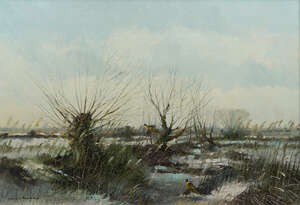 Colin W Burns, 
		British b.1944- 
		 
		Pheasants, Caister Back Mashes; 
		 
		oil on canvas, signed, further inscribed on the selvedge verso, 30.5x42c