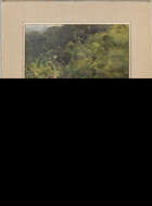 
	
		Mildred Anne Butler, RA, RWS, 
		Irish 1858-1941- 
		View of a garden; and View of a...