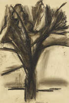 
	
		Anthony Hatwell, 
		British 1931-2013 - 
		Tree, 1954; 
		charcoal on paper, signed and...