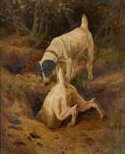 
	
		Arthur Wardle, RI, 
		 
		British 1864 1949- 
		 
		Two Jack Russell terriers...