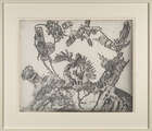 
	
		Nigel Henderson, 
		British 1917-1985- 
		
		Plant Tantrums & Plant Delta, c. 1958; 
		