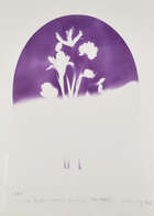 
	
		Colin Self, 
		British b.1941-
		
		Out of Focus Object and Flowers No 2 (The 1940s);...