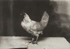 
	
		Marlo Pascual, 
		
		American 1972-2020- 
		 
		Untitled, 2009; 
		 
		digital...