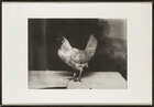 
	
		Marlo Pascual, 
		
		American 1972-2020- 
		 
		Untitled, 2009; 
		 
		digital...