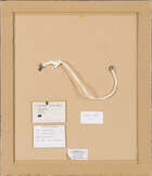 
	
		David Bomberg, 
		British 1890-1957- 
		Ghetto Theatre, 1919; 
		ink and wash, 26.5 x...