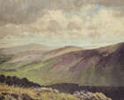 
	
		Mabel Young, 
		British 1889-1974 - 
		 
		Moorland; 
		 
		oil on board, signed...