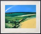 Neil Canning, British b.1960- Moor; Branch, 1995; two screenprints in colours on wove, both...
