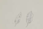 
	
		René Magritte, 
		Belgian 1898-1967- 
		 
		Deux Feuilles & Poission, circa 1945 ;...