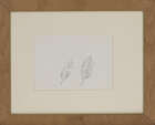 
	
		René Magritte, 
		Belgian 1898-1967- 
		 
		Deux Feuilles & Poission, circa 1945 ;...