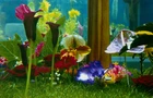 Marc Quinn, British, b.1964- Garden II, 2000; A set of six photographic prints on wove, signed...