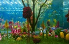 Marc Quinn, British, b.1964- Garden II, 2000; A set of six photographic prints on wove, signed...