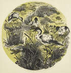 
	
		Gertrude Hermes OBE RA,
		British 1901-1983-
		 
		Avocets, 1952;
		wood engraving with...