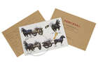 
	
		Various Artists,
		 
		A collection of eight Momart Christmas Gifts, 2004-13;
		 
		