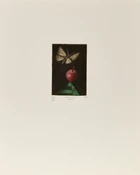 A portfolio of four miniature etchings by Contemporary Arab artists, Hachmi Azza, Ghyas Akhras...