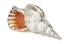 
	
		A large silver mounted conch shell, signed JG Argenterie, the Charonia tritonis spiral...