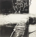Lisa Wright, British b.1965 - Upon Velvet Night; monotype on paper, 58 x 56 cm (ARR) 