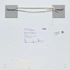 Damien Hirst, British b.1965- Fruitful (small) 2020; laminated giclée print on aluminium...