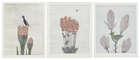 
	
		Keiko Minami, 
		Japanese 1911-2004-
		 
		Japanese Brushwood, 1977;
		 
		etching in...