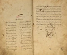 Amir Khushro : the Tale of Four Derwishes (Qissa Chahar Dervish), and a copy of the 14th-century...