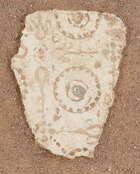 
	
		A Roman fresco fragment 
		Circa 1st Century A.D.
		The ochre decoration on a cream...
