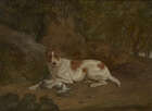 
	
		Circle of Charles Towne, 
		British 1763-1840- 
		 
		Dog with a hare in woodland;...
