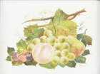 
	
		William Rayworth, British, 1852-1908, a  pair of painted panels of fruit and leaves,...