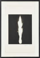 
	
		Hiroshi Sugimoto, 
		Japanese b.1948-
		 
		In Praise of Shadows, 2003;
		 
		