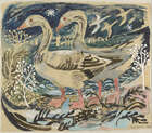 
	
		Mark Hearld, 
		British b.1974 - 
		 
		Two geese, 2008; 
		 
		watercolour, gouache,...
