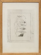 Georges Braque, French 1882-1963, Nike, from Théogonie d'Hésiode, 1932; etching on wove, 