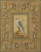 
	
		A pair of Mughal-style modern paintings of birds, India, 20th century, opaque pigments on...