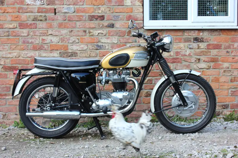1964 Triumph T120 Bonneville 649cc-Sold