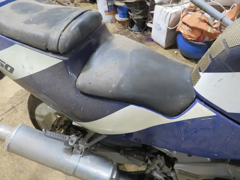 1990 Kawasaki ZXR250 249cc-Sold