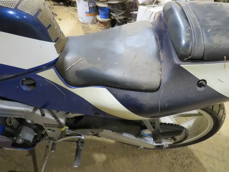 1990 Kawasaki ZXR250 249cc-Sold