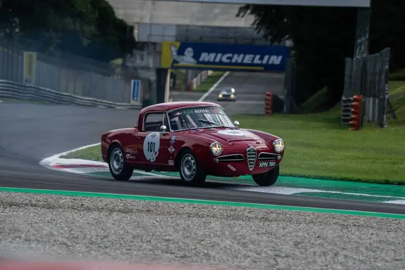 1965 Alfa Romeo Giulia 101 Spider (FIA)-Sold