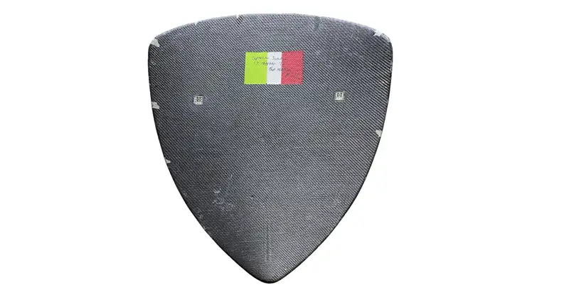 Original Prancing Horse on Carbon Fibre Sheild Artwork by Pa-For Sale