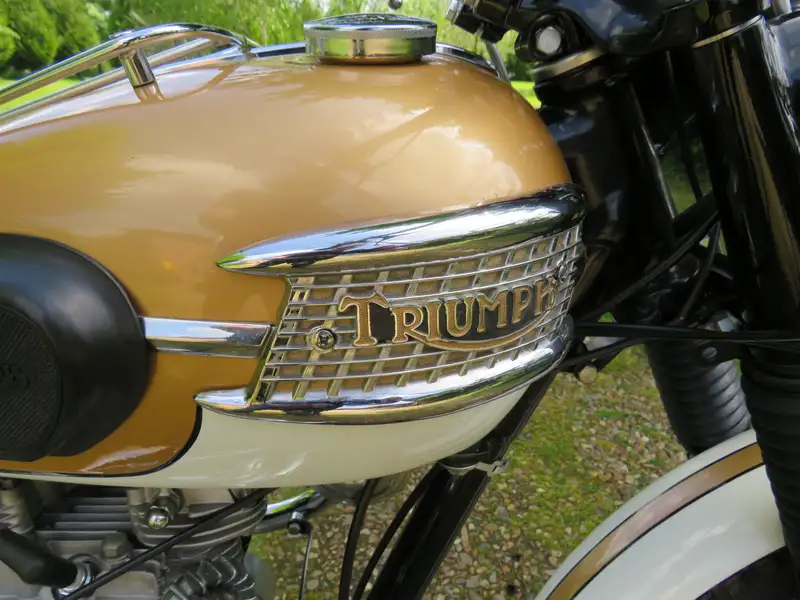 1964 Triumph T120C Bonneville TT Special Competition 649cc-For Sale